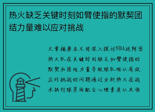 热火缺乏关键时刻如臂使指的默契团结力量难以应对挑战